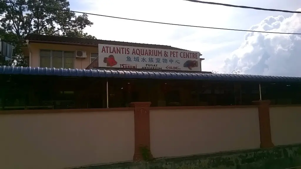 Atlantis-Aquarium-Pet-Center-1-petshops.com_.my